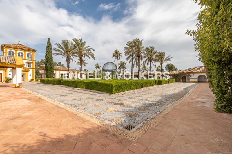 Foto a1fc9bc4-ae55-43d9-b5ca-e0bc458dc919. Terreny residencial a Pedanías Sur Utrera