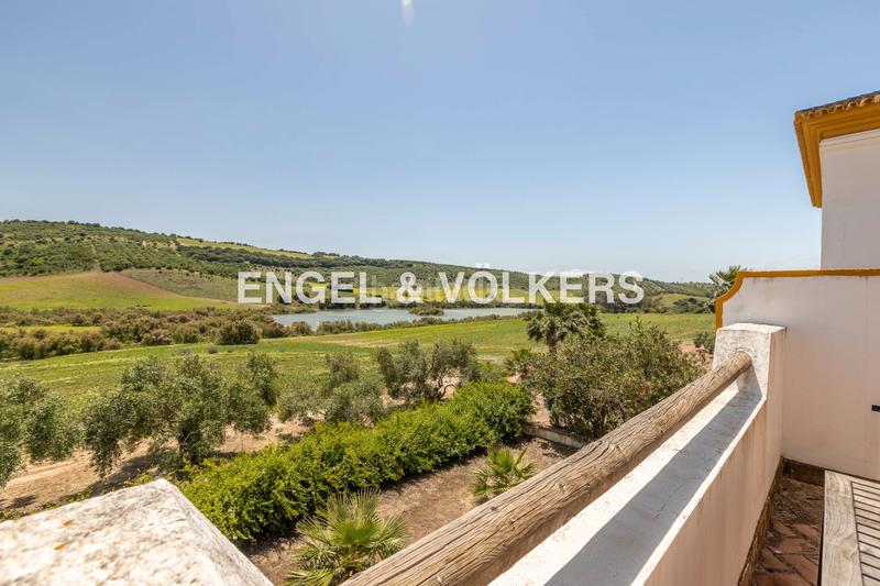 Foto fb8b13ef-247d-4cbe-b463-ef7aa3d4c60e. Terreny residencial a Pedanías Sur Utrera