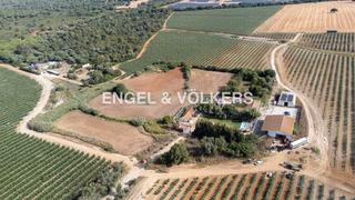 Masia  Cortijo carvajal. Exclusiva finca con gran potencial en puerto real , ideal para p