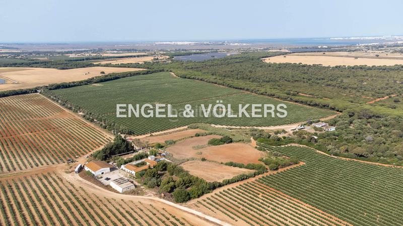 Foto ff73c0d7-7aa2-49bb-a2a9-d7263b82c56e. Masía exclusiva finca con gran potencial , ideal para proyecto residencial, turístico o agrícola y cerca de la costa gadi en Puerto Real