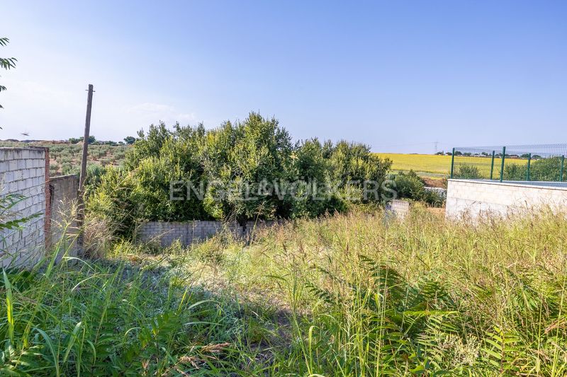 Foto 64615e93-d539-499a-814b-ed7a12599409. Casa amb calefacció piscina a Valencina de la Concepción