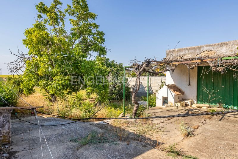 Foto c8efe42a-33b3-4edf-8a7e-5b3078073326. Casa amb calefacció piscina a Valencina de la Concepción