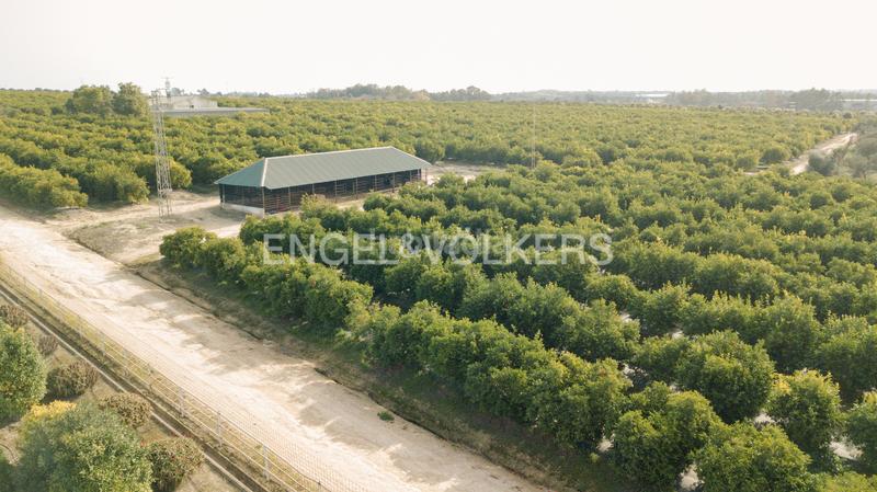 Foto 5278b95a-5a9e-4bd5-8127-28b0094bc24d. Mas avec chauffage dans Arco Norte - Avda España Dos Hermanas