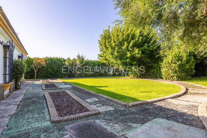 Foto deb4c310-b7c6-42d9-85ee-0a38e34e224a. Casa amb calefacció piscina a Valencina de la Concepción