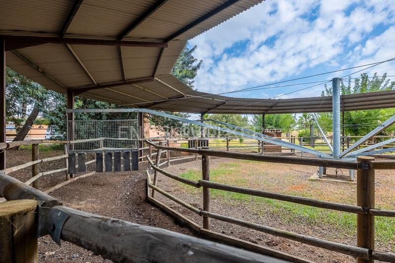 Foto 6f05a61a-0584-4726-b279-8d343c80a859. Casa finca única para quienes valoran lo excepcional en Bollullos de la Mitación
