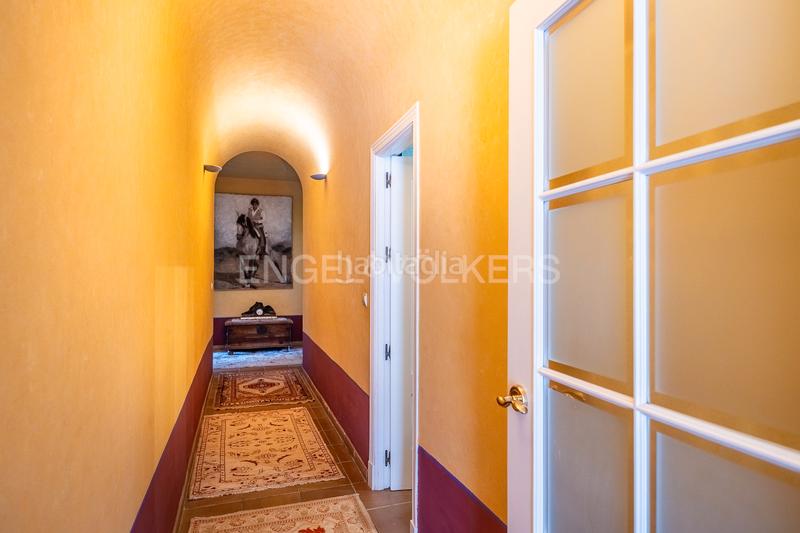 Foto 981550ad-4b1d-479b-baee-71140385f656. Casa finca única para quienes valoran lo excepcional en Bollullos de la Mitación