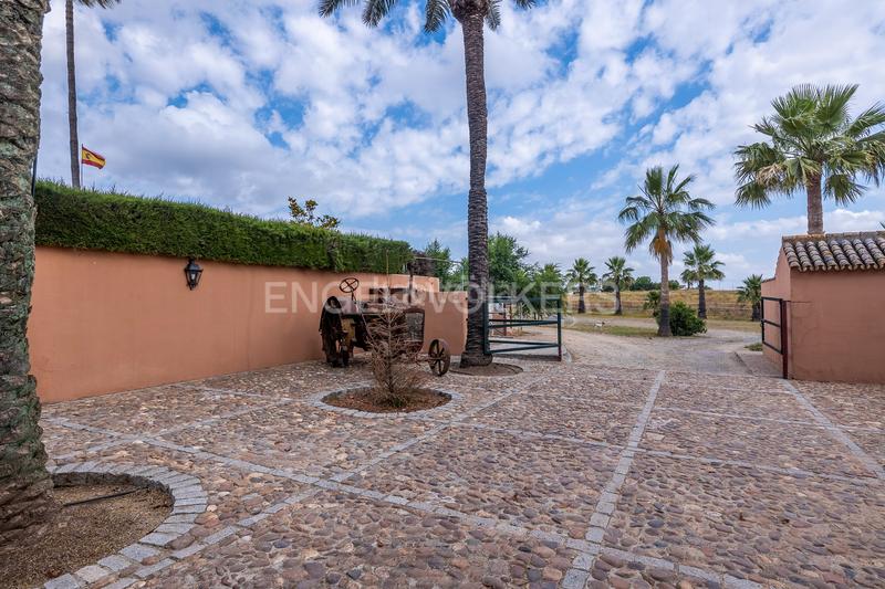 Foto e58f5dbb-9a1e-470c-ab63-16ae2695c116. Casa finca única para quienes valoran lo excepcional en Bollullos de la Mitación