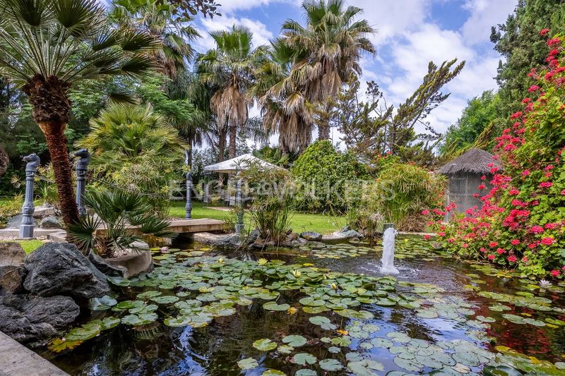 Foto 2bfbc8d4-ae26-4893-99bc-c71fd0d6acf2. Casa amb calefacció a Bollullos de la Mitación