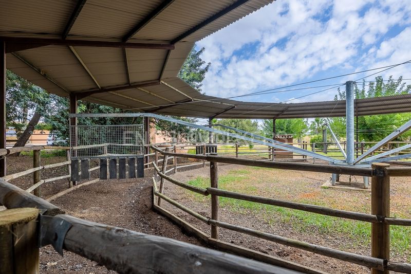 Foto 6f05a61a-0584-4726-b279-8d343c80a859. Casa amb calefacció a Bollullos de la Mitación