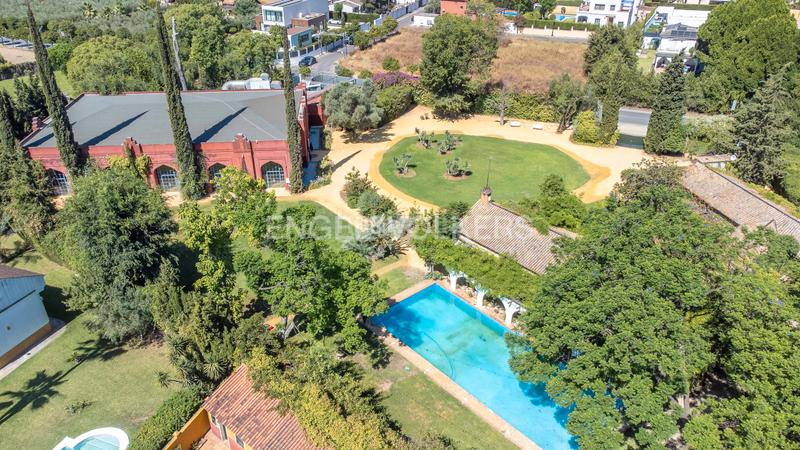 Foto acc58710-27e0-4d57-8ad5-96c3db4e2e3c. Casa amb calefacció aparcament piscina a Loreto Espartinas