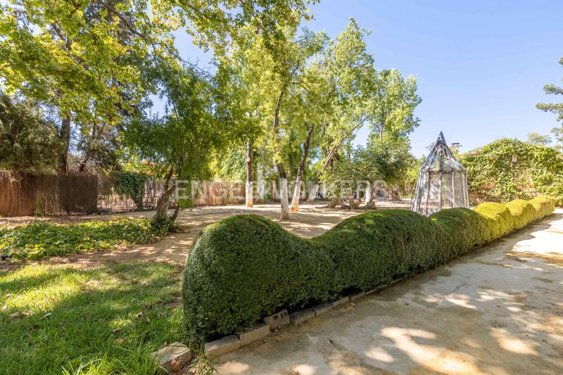 Foto e0e8a4e0-b605-4634-990d-bb0c93234b67. Casa amb calefacció aparcament piscina a Loreto Espartinas