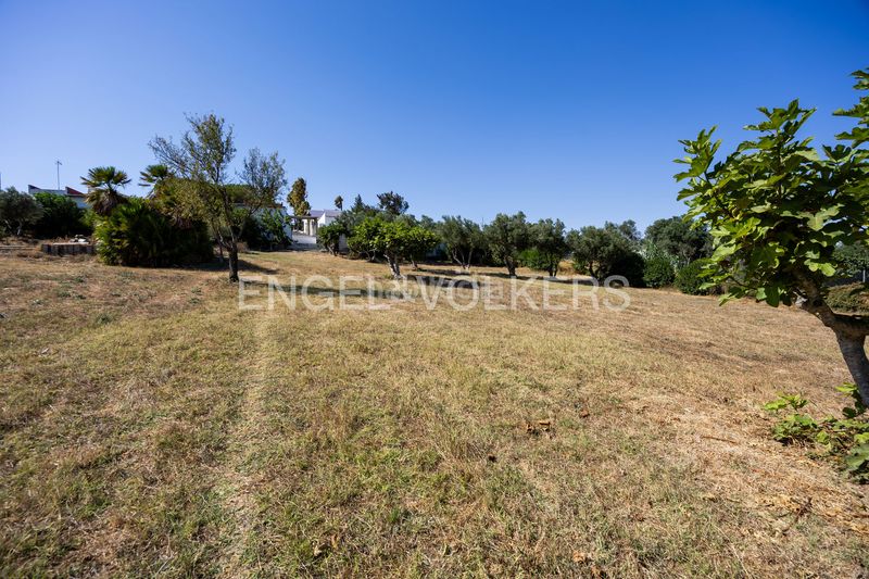 Foto 3f1b599a-af2a-4553-bd32-3d275a3cfe6c. Casa amb calefacció piscina a Los Franceses - La Vega Chiclana de la Frontera