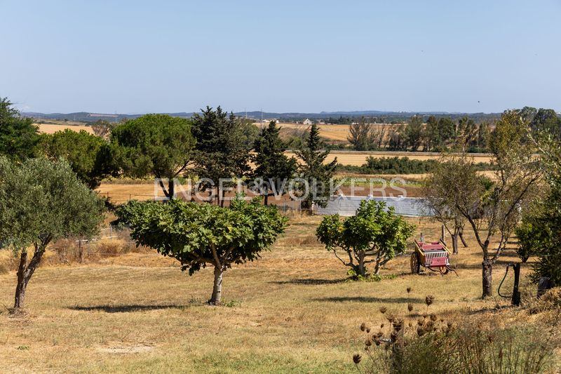 Foto be9c8f8e-851b-4ee6-b450-01c87667830d. Casa amb calefacció piscina a Los Franceses - La Vega Chiclana de la Frontera