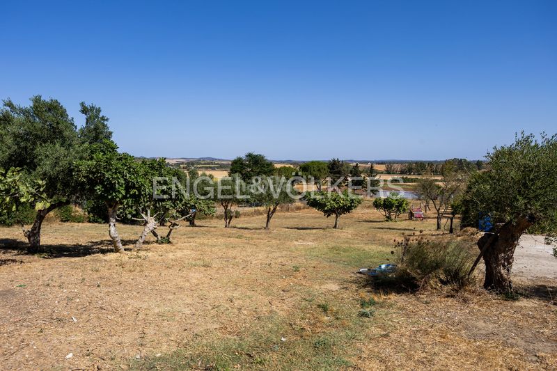 Foto c86aceca-0192-4e4d-89ea-dfa0209ff708. Casa amb calefacció piscina a Los Franceses - La Vega Chiclana de la Frontera