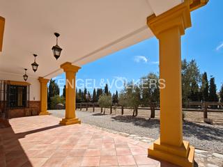 Masía en Llerena. Casa de campo con finca ecuestre en llerena, badajoz