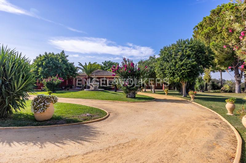 Foto da422624-6272-46db-8068-545963eab0af. Haus mit heizung parking pool in La Motilla - Fuente del Rey Dos Hermanas