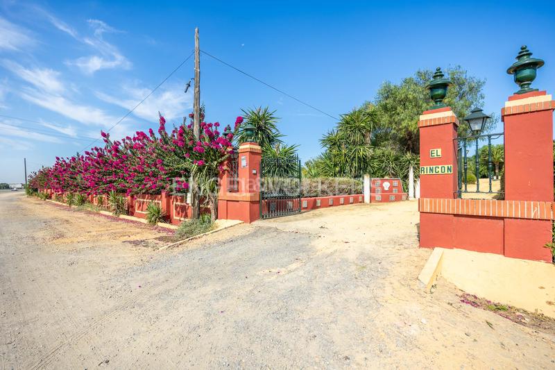 Foto e9dab680-b71e-4004-b983-f2e440643fb0. Haus mit heizung parking pool in La Motilla - Fuente del Rey Dos Hermanas