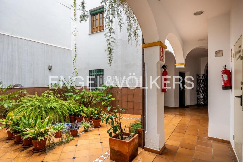 Foto 89f2c8ea-c240-4a81-bc67-2103cb91b9c4. Attique avec chauffage dans Santa Catalina Sevilla