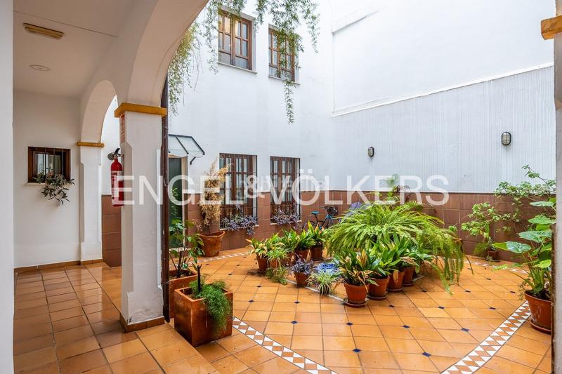 Foto e3009a33-5d9a-4b9e-b5bb-5bb7d3abf7bd. Attique avec chauffage dans Santa Catalina Sevilla