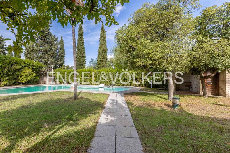 Foto e4830a64-0cdd-431d-9da0-09fb241749dd. House with heating parking pool in Santa Eufemia Tomares