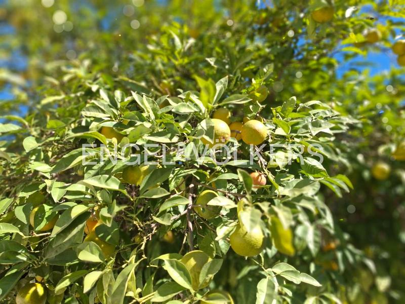 Foto 507a2e25-bda1-40dd-9b9a-dd37a621fa53. Casa adossada amb calefacció aparcament a sector sur - la palmera - reina mercedes Sevilla