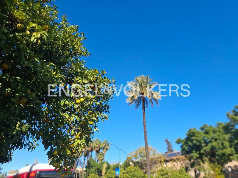 Foto c4b83267-7570-44c6-b3cb-b7cc15af3072. Casa adossada amb calefacció aparcament a sector sur - la palmera - reina mercedes Sevilla