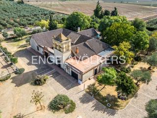 Maison à Bollullos de la Mitación. Cortijo con alma andaluza, piscina y pista de equitación