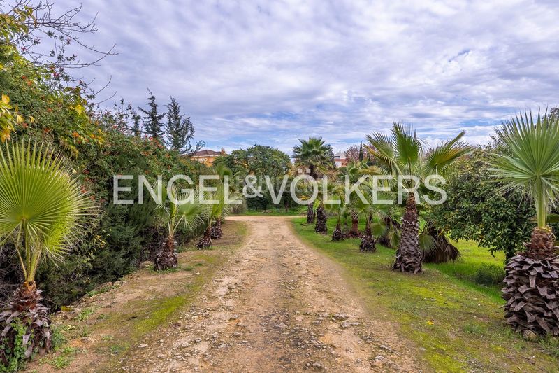 Foto a7c36a61-52c7-43f3-98d0-5a841a2c85aa. Casa amb calefacció a Nueva Alcalá Alcalá de Guadaira