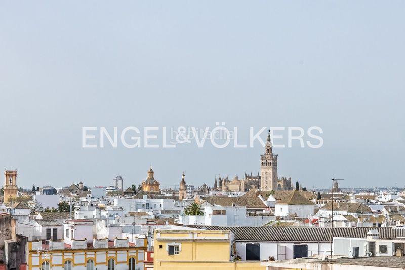 Foto 8b052f36-06cb-4c08-b18f-8c67cb3e72a3. Pis amb calefacció a La Calzada - La Florida Sevilla