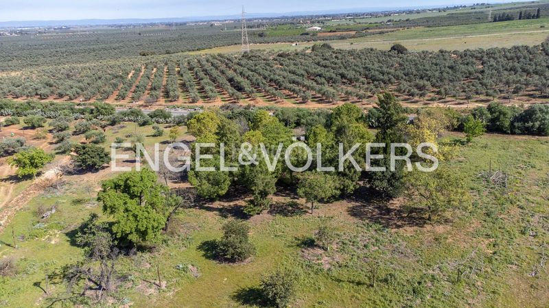 Foto ce5a4f95-abc9-4e67-b385-c70f42722f1d. Masia amb calefacció piscina a La Paz Alcalá de Guadaira