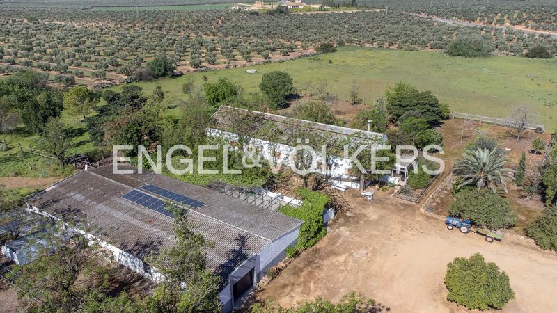Foto f98f10a6-d4ee-4a3d-b7be-95f3c6a11f31. Masia amb calefacció piscina a La Paz Alcalá de Guadaira