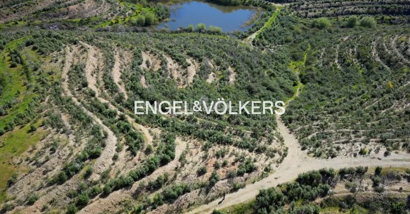 Foto 0300f69c-7073-4f66-9393-36fb8d50961d. Masia amb calefacció a Las Torres - Guadalupe Huelva