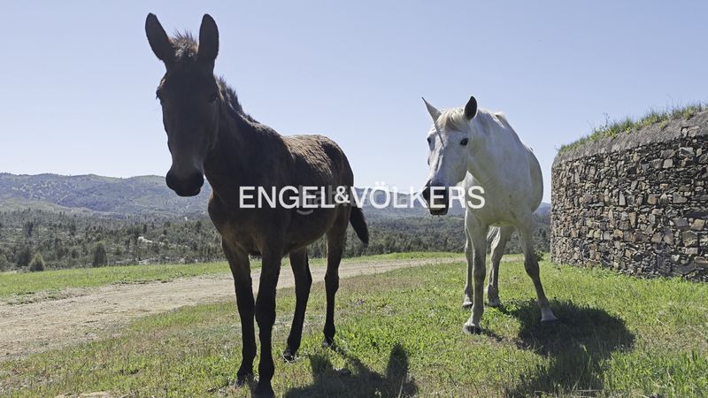 Foto 442fcd20-2793-482c-8847-e3c01079b312. Masia amb calefacció a Las Torres - Guadalupe Huelva