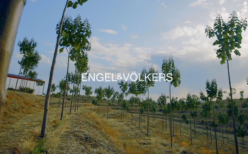 Foto 6e1743a9-3bc9-4520-9047-14a2e2e719a2. Masia amb calefacció a Las Torres - Guadalupe Huelva