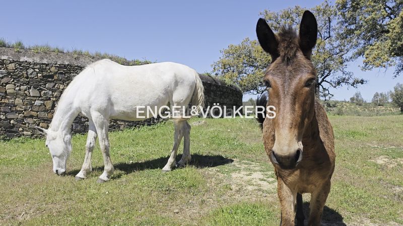 Foto 99eb642a-c141-43d1-a027-6272c17e0578. Masia amb calefacció a Las Torres - Guadalupe Huelva