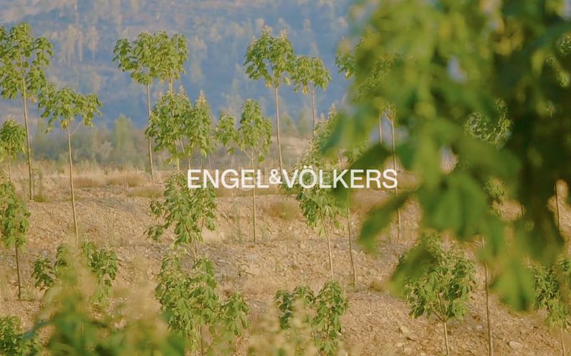 Foto e05a61b4-3395-4777-9b54-6673c3766ab9. Masia amb calefacció a Las Torres - Guadalupe Huelva