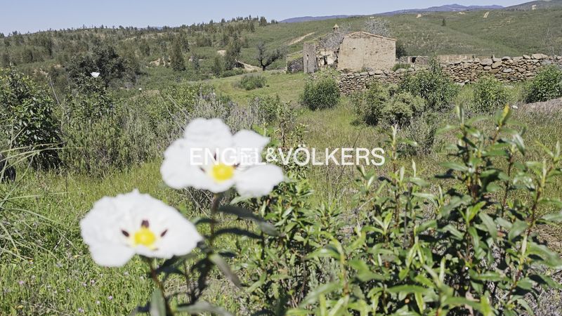 Foto eddb145c-ccb4-4fe2-8ddb-17bc3e6382a0. Masia amb calefacció a Las Torres - Guadalupe Huelva