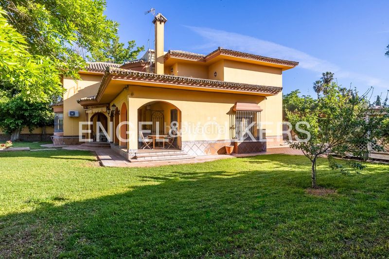 Foto 1a091d19-4003-4a5f-9f59-3312ef02ef69. Casa amb calefacció piscina a Santa Clara Sevilla
