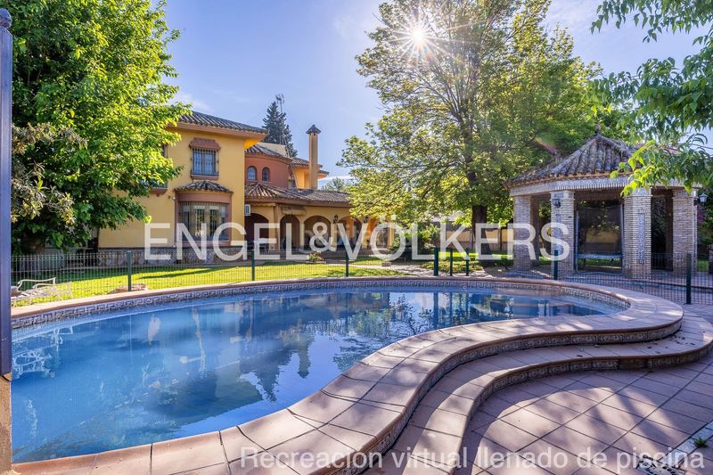 Foto 8a0e8cd2-a1d5-48a3-b7a9-bd12749b4731. Casa amb calefacció piscina a Santa Clara Sevilla