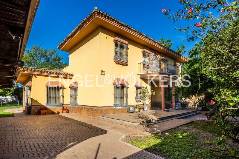Foto e8d0a201-7daf-4d26-9958-c2f113582fce. Casa amb calefacció piscina a Santa Clara Sevilla
