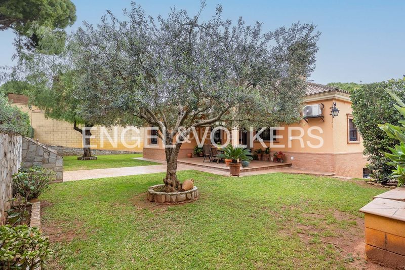 Foto 48e69ccd-4f58-49b1-a280-6c32aa8b8e7b. Casa amb calefacció aparcament piscina a Oromana Alcalá de Guadaira