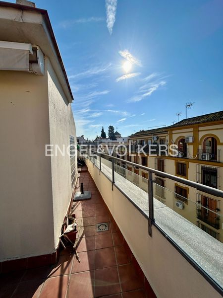 Foto 17afee09-6d28-4446-b583-73a2f83539ad. Casa amb calefacció aparcament a Feria Sevilla