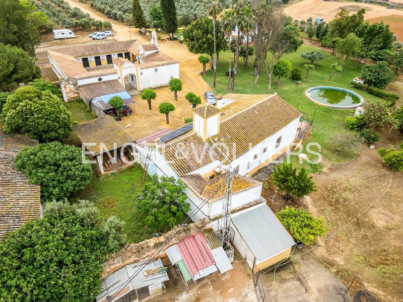 Foto 449f44e2-5eb3-4590-ab2e-fdf91889e798. Masia amb calefacció piscina a Mairena del Alcor
