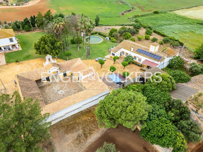 Foto 4a7f56a8-14eb-4b24-b8be-5c70995c0ec3. Masia amb calefacció piscina a Mairena del Alcor