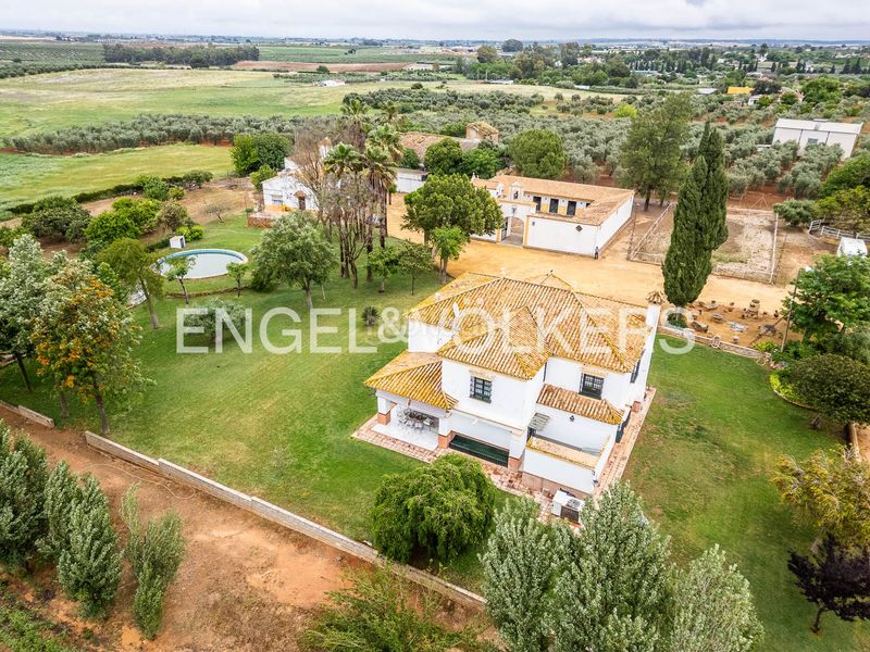 Foto 4b979b54-f90b-4860-bb7c-88e8702503da. Masia amb calefacció piscina a Mairena del Alcor