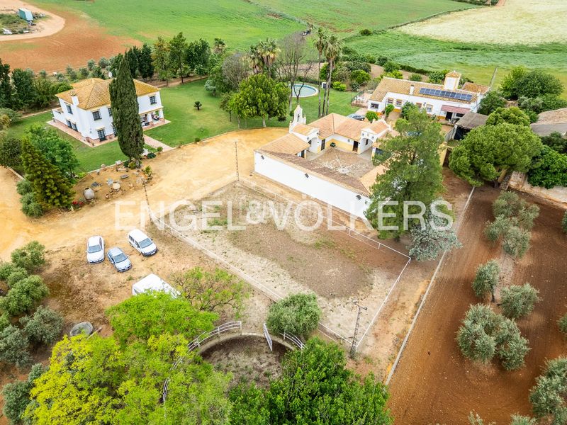 Foto 6f8ac17b-6491-4038-9bd3-86b2654edd0c. Masia amb calefacció piscina a Mairena del Alcor
