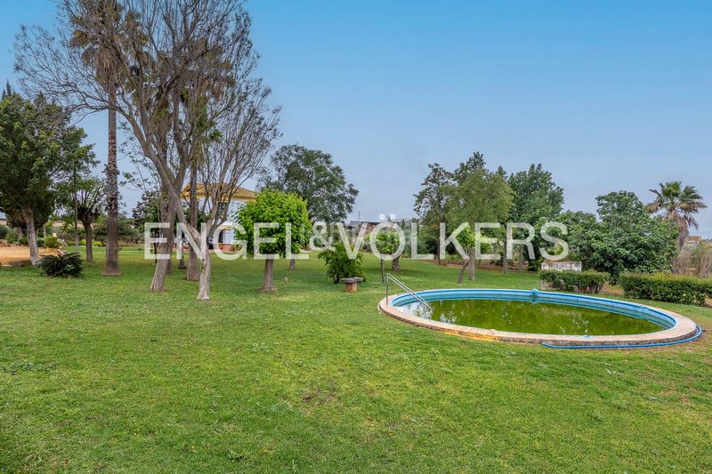 Foto a47d14fe-6b4b-4f99-b651-003a4eff5502. Masia amb calefacció piscina a Mairena del Alcor