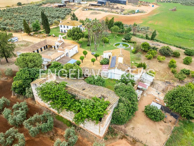 Foto c1803841-9247-45d2-96f9-a1f1044d0d21. Masia amb calefacció piscina a Mairena del Alcor