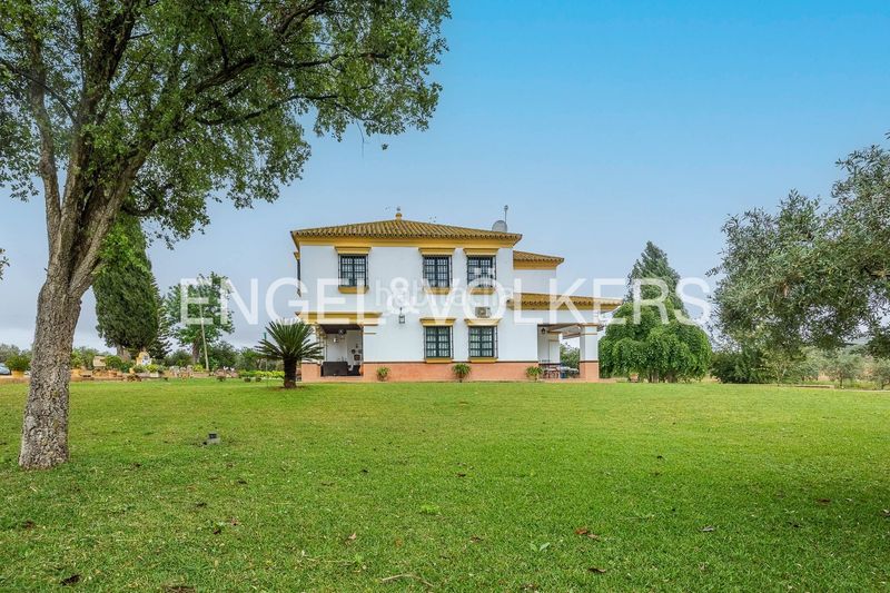 Foto c8b6f7a5-56a6-4239-a30c-ab8f1845a3a2. Masia amb calefacció piscina a Mairena del Alcor