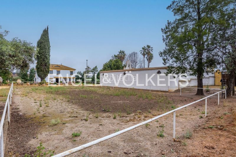 Foto cc1f1ed0-fd99-4144-9092-da4c05a9ef66. Masia amb calefacció piscina a Mairena del Alcor